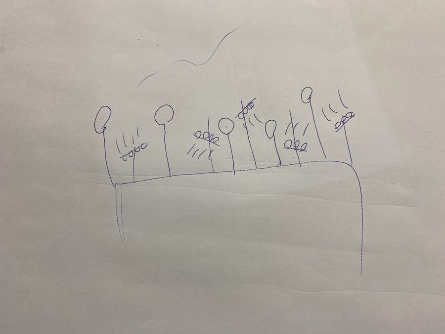 Hockey Dad Album launch Live Stream